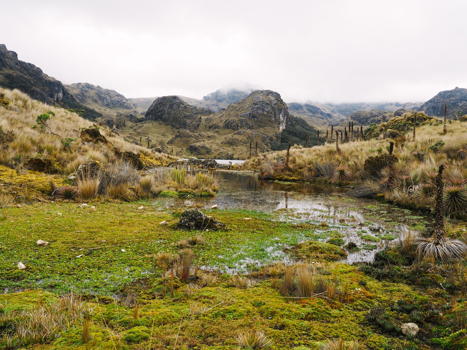 Ecuador mit Kindern: Rundreise in Südamerika