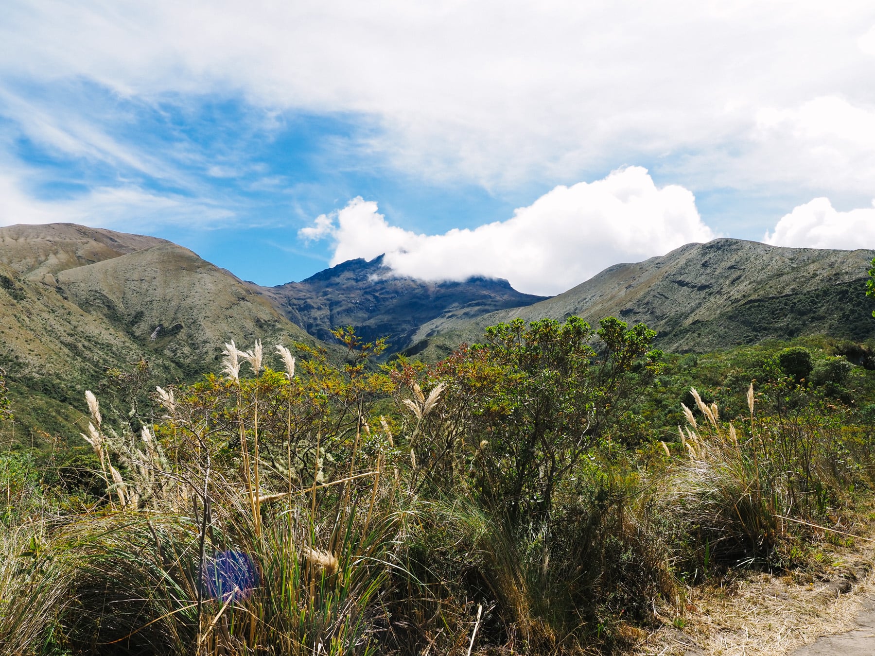 Ecuador Südamerika