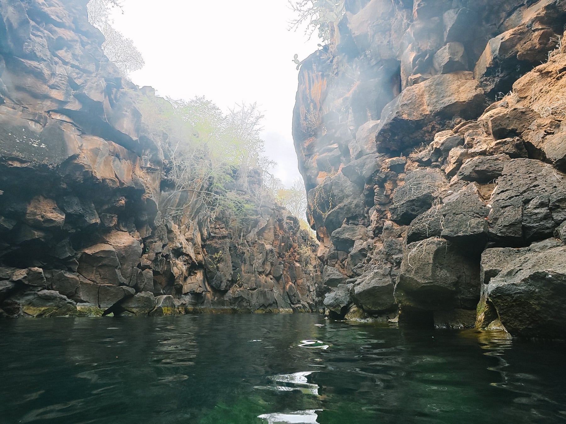 Reise auf die Galapagosinseln in Ecuador in Südamerika, Santa Cruz