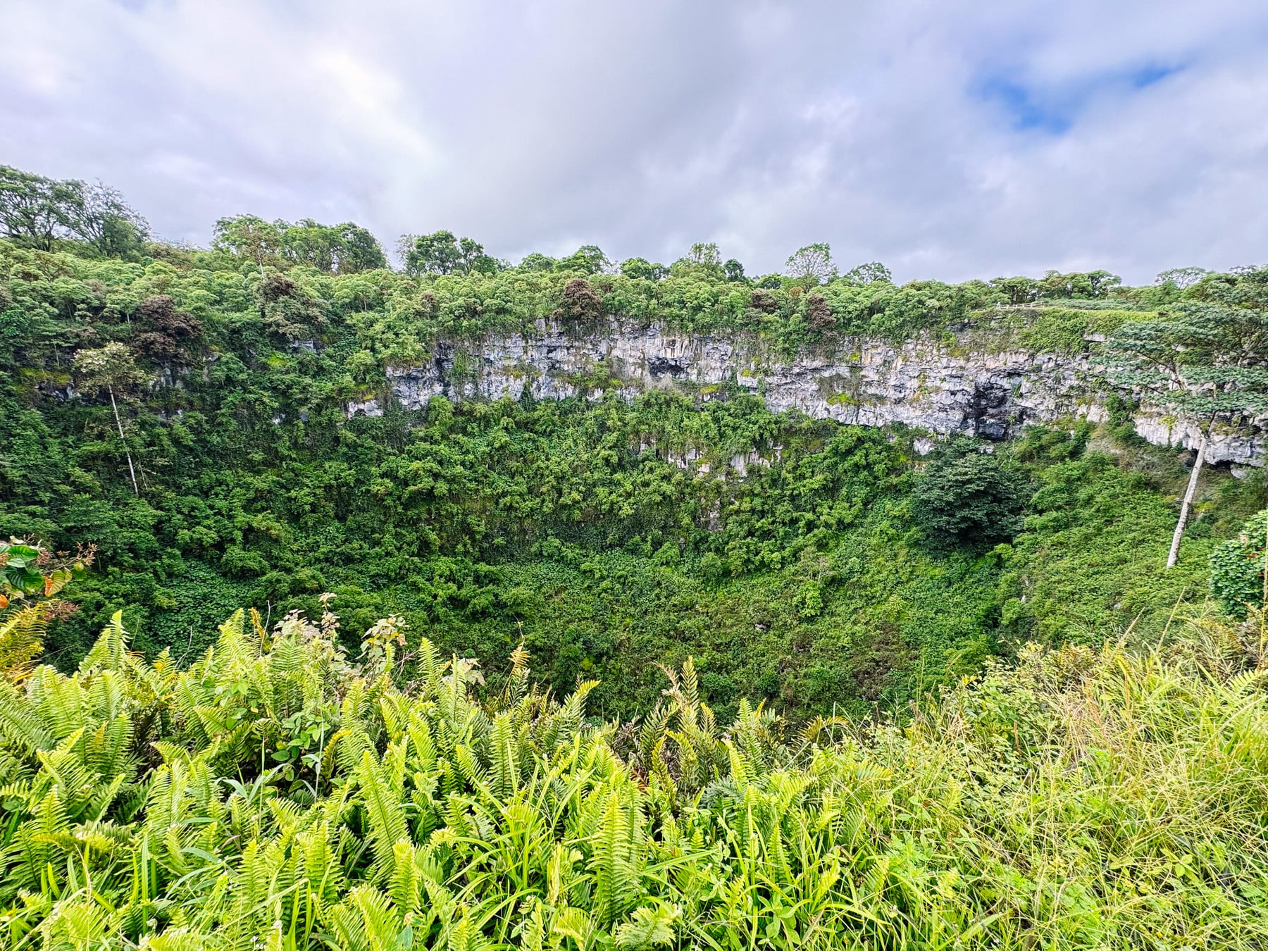 Reise auf die Galapagosinseln in Ecuador in Südamerika, Santa Cruz