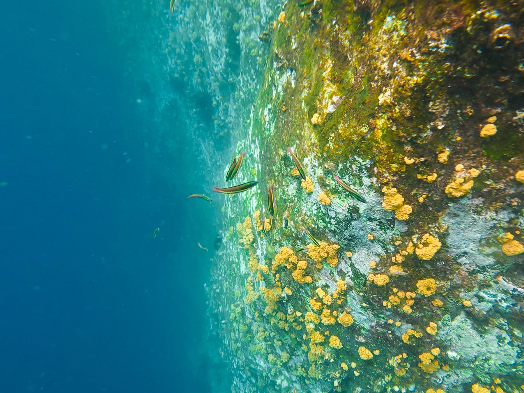 Reise auf die Galapagosinseln in Ecuador in Südamerika, San Cristóbal