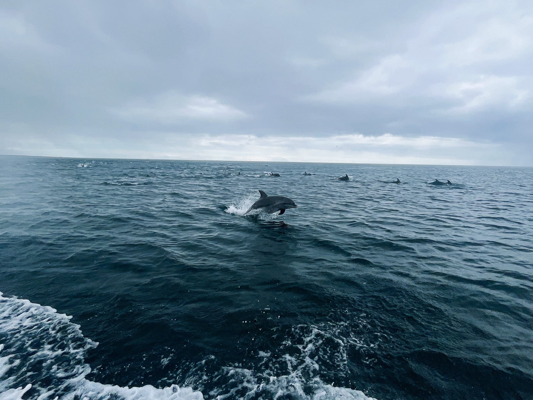 Fernreise auf die Galapagosinseln nach Ecuador, Kicker Rock bei San Cristóbal
