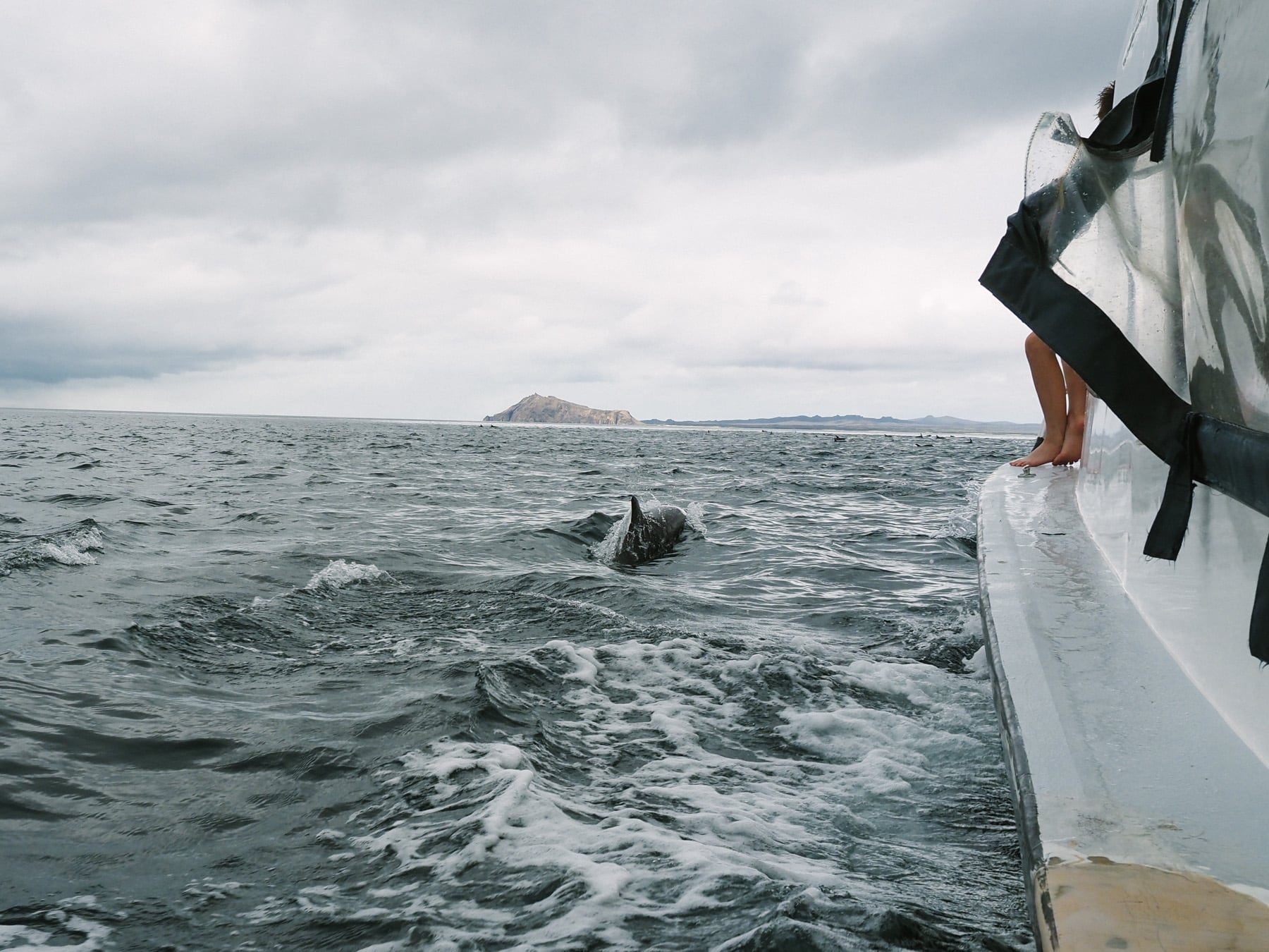 Reise auf die Galapagosinseln in Ecuador in Südamerika, San Cristóbal