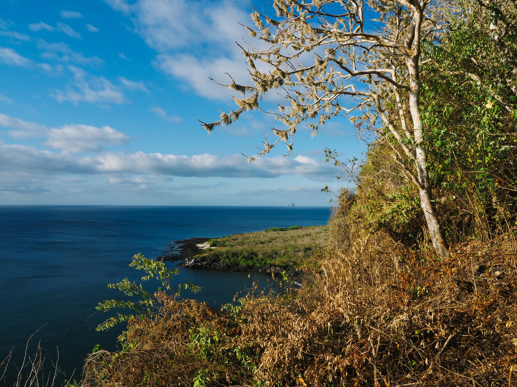 Fernreise auf die Galapagosinseln nach Ecuador