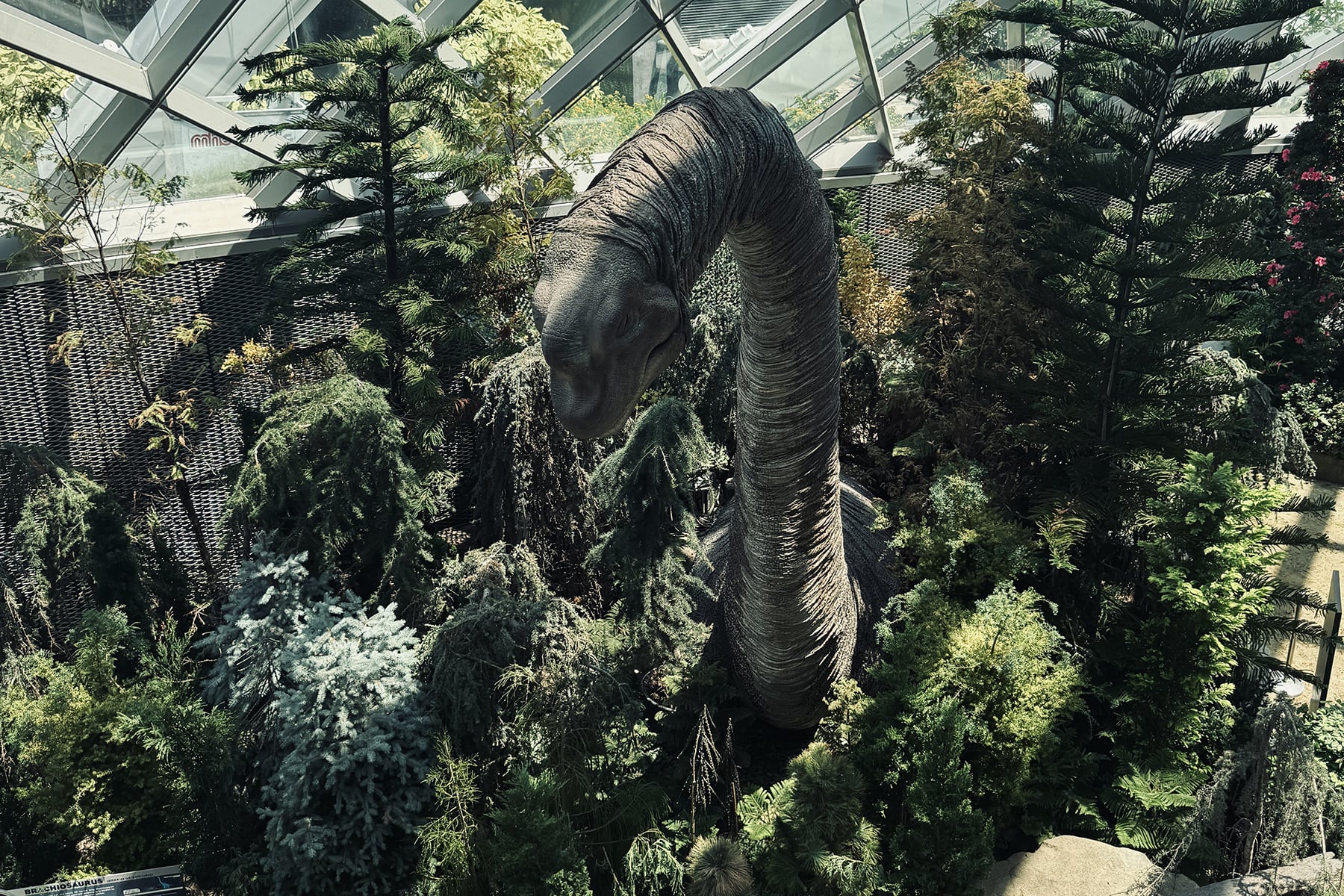 Singapur mit Kindern Gardens by the Bay