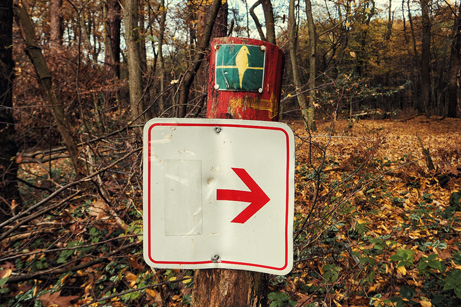 Wahner Heider Köln Geisterbusch