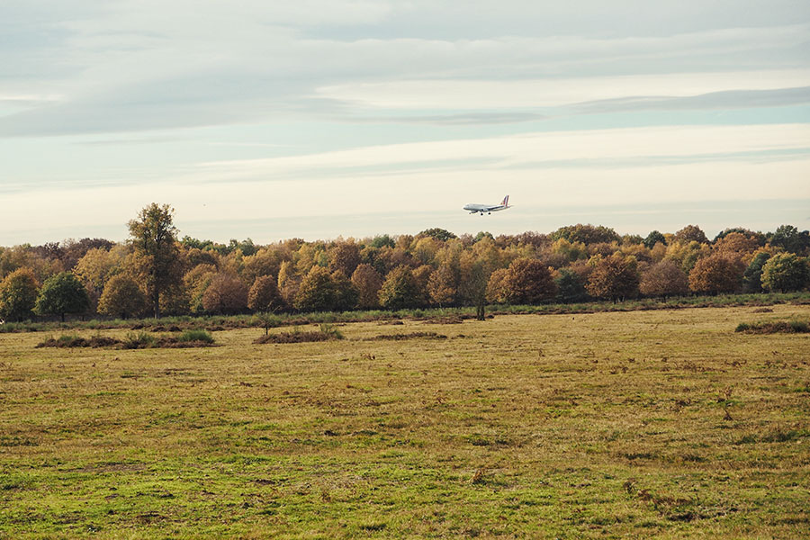 Wahner Heider Köln Geisterbusch