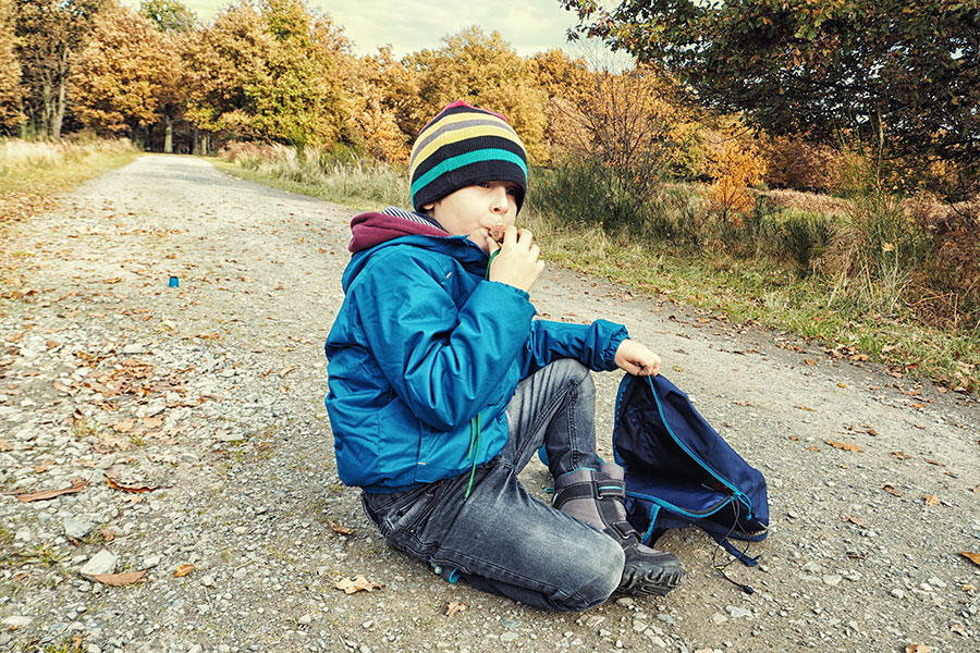 Wahner Heider Köln Geisterbusch