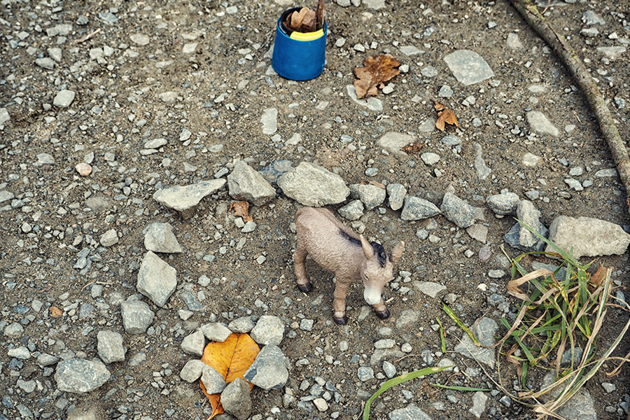 Wahner Heider Köln Geisterbusch