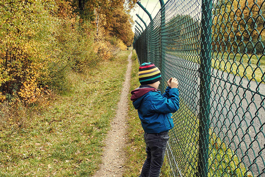 Wahner Heider Köln Geisterbusch