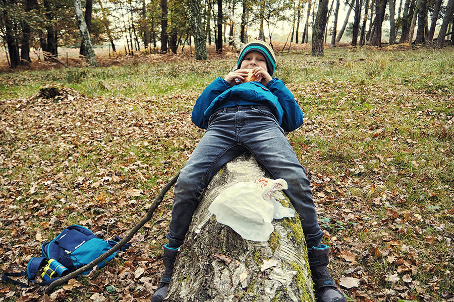 Wahner Heider Köln Geisterbusch