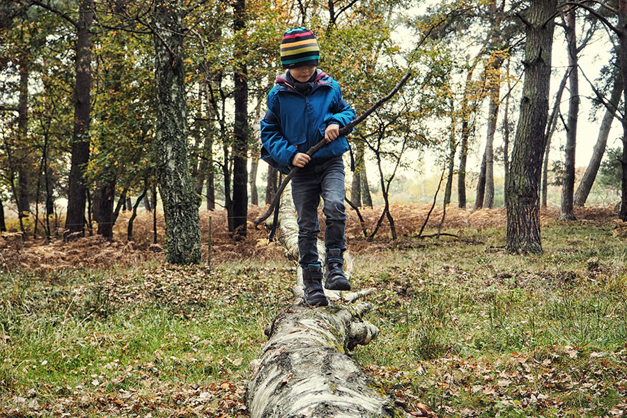 Wahner Heider Köln Geisterbusch