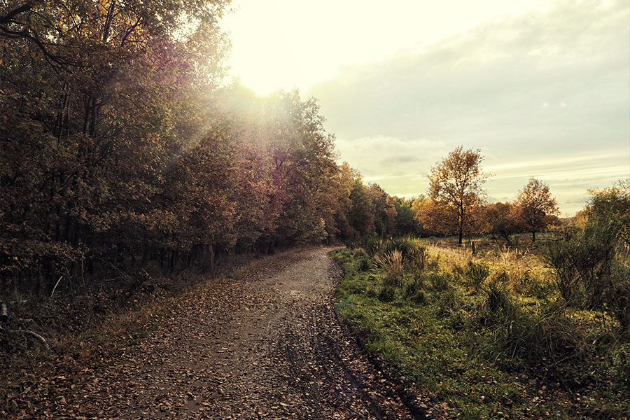 Reisen mit Kindern im Herbst