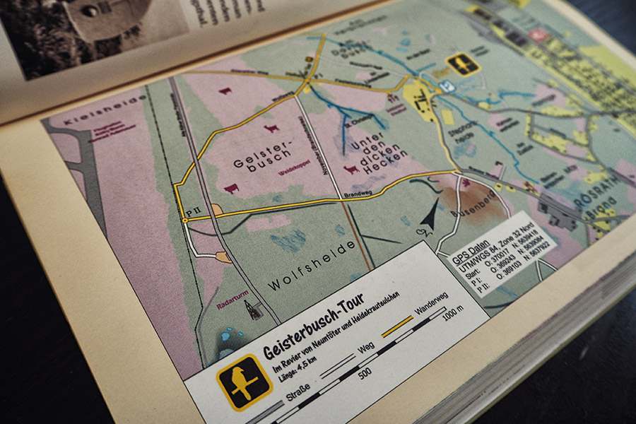 Wahner Heider Köln Geisterbusch