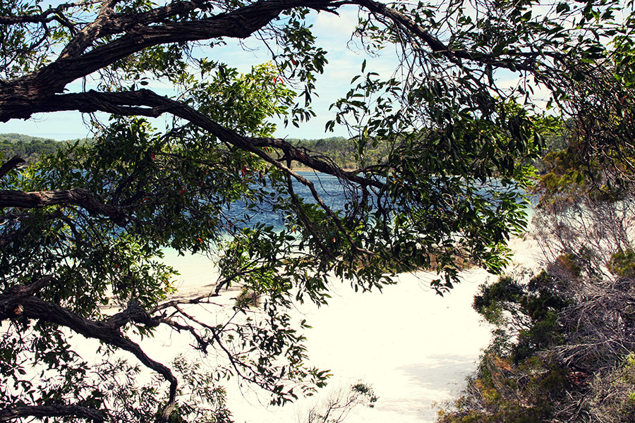 Fraser Island Australien Lake Birrabeen
