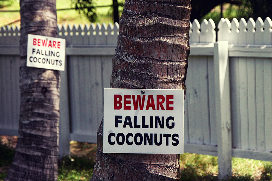Fraser Island Australien