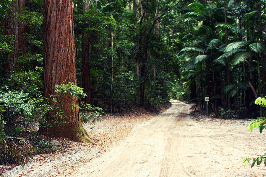 Fraser Island Australien