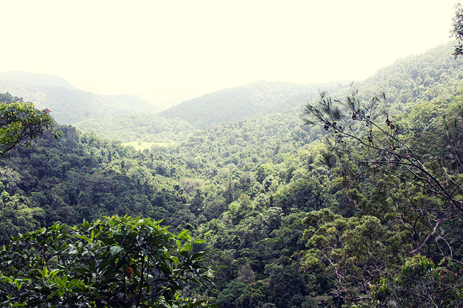 Reiseblog Sunshine Coast Australien