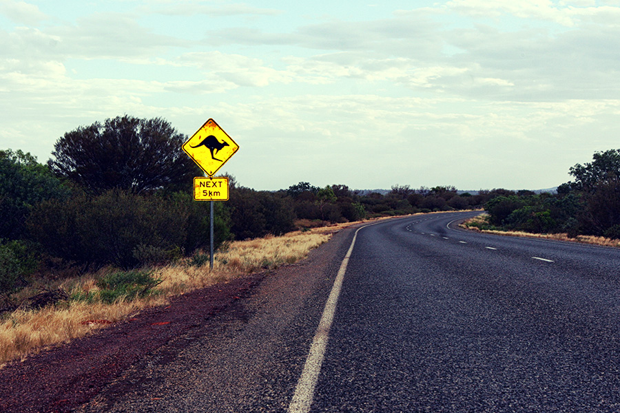 Reiseblog Uluru Ayers Rock Australien