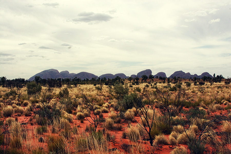 Reiseblog Uluru Ayers Rock Australien