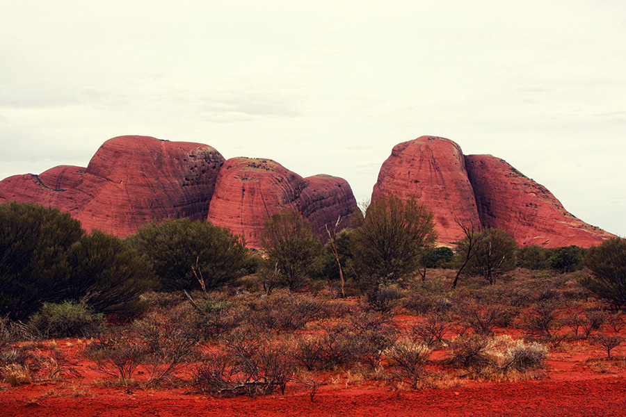 Reiseblog Uluru Ayers Rock Australien
