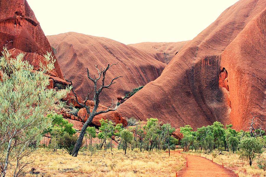 Reiseblog Uluru Ayers Rock Australien