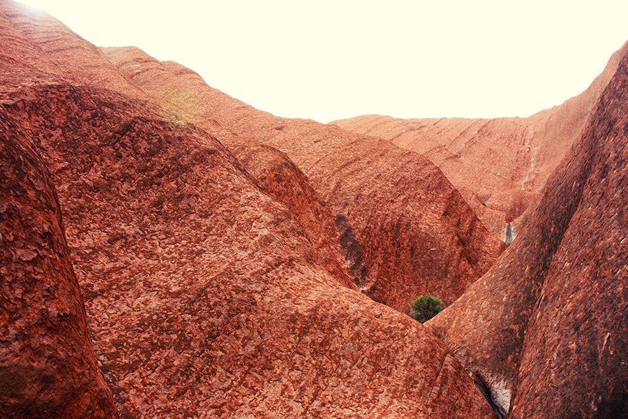 Reiseblog Uluru Ayers Rock Australien