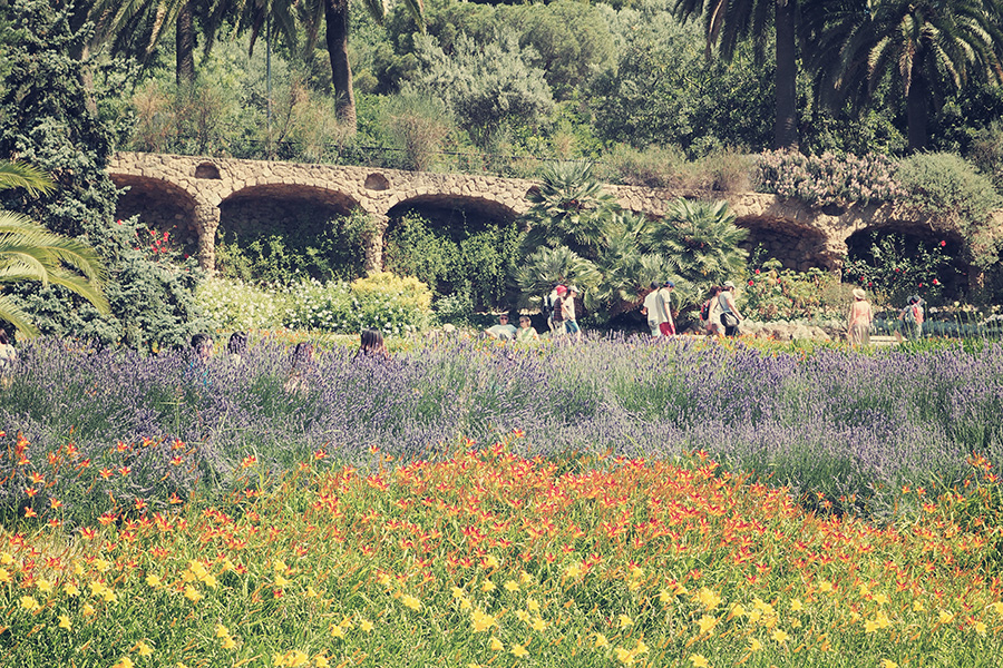 Korsika Strände Balagne Reisen mit Kindern