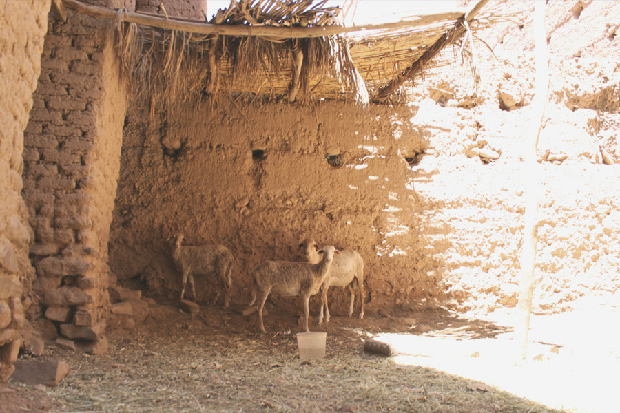 Reisen mit Kindern Marokko