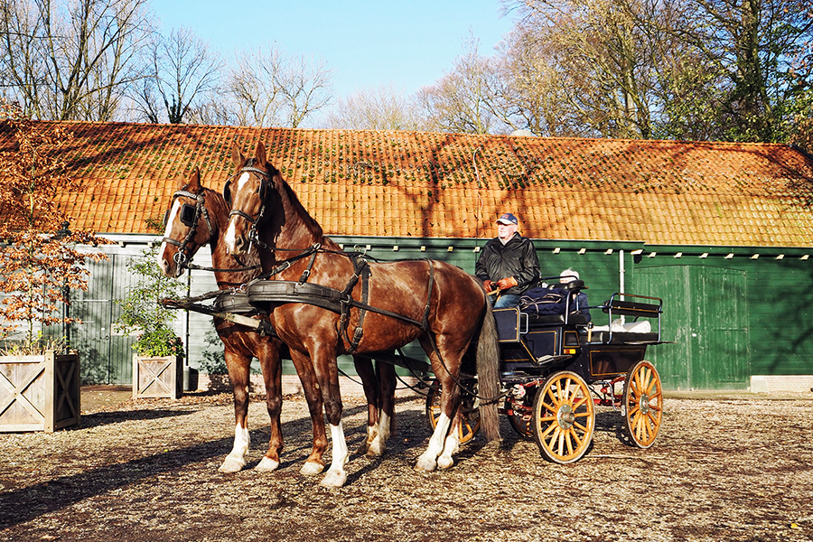 Wochenende mit Kindern in Holland