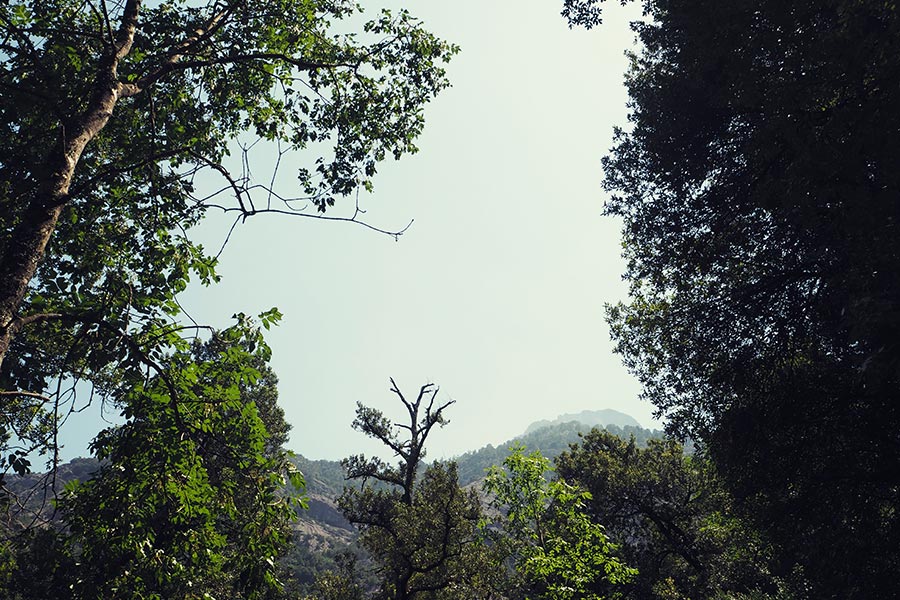 Korsika Strände Balagne Reisen mit Kindern