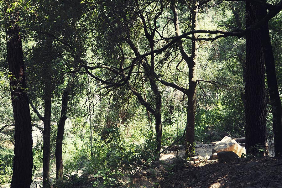 Korsika Strände Balagne Reisen mit Kindern