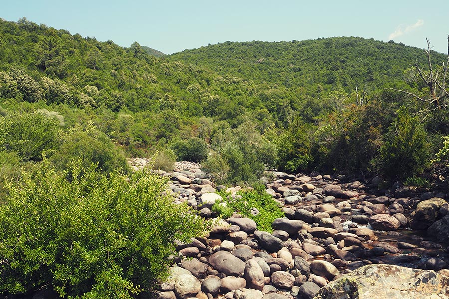 Korsika Strände Balagne Reisen mit Kindern