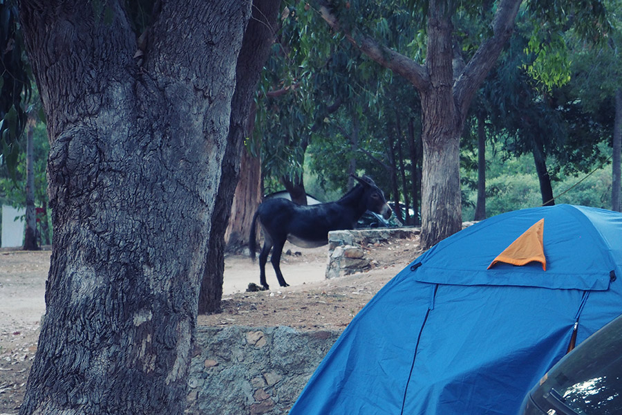 Marokko Marrakesch Reisen mit Kindern