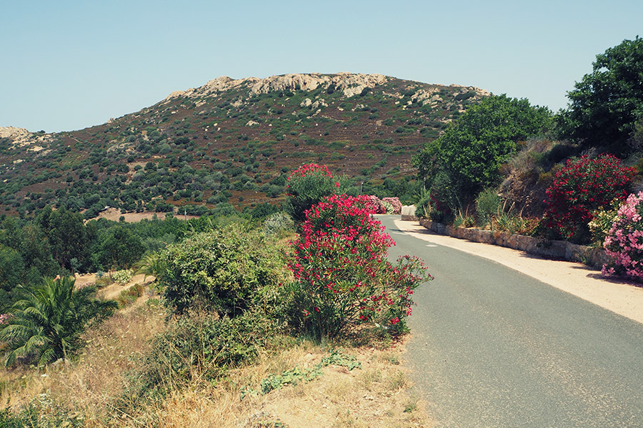 Marokko Marrakesch Reisen mit Kindern