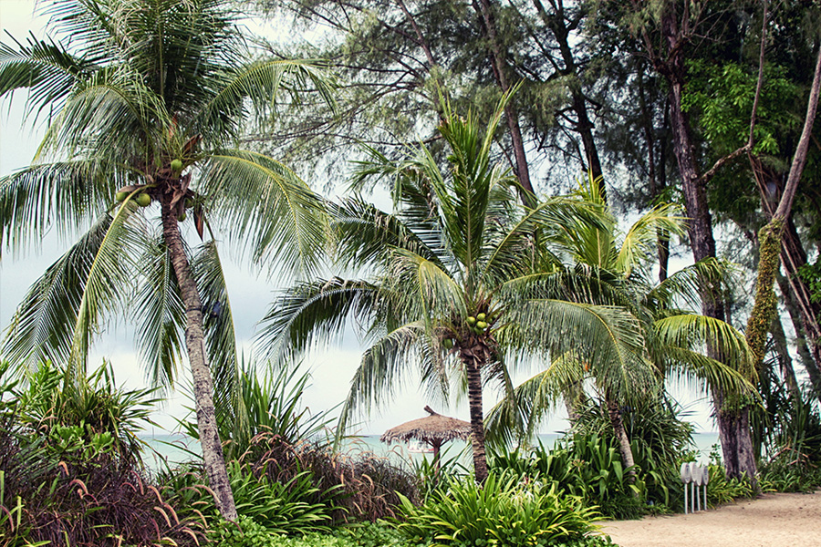 Hard Rock Hotel Penang Malaysia