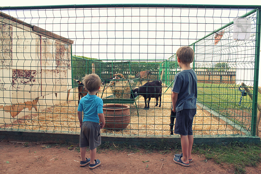 Robinson Club Agadir Reisen mit Kindern