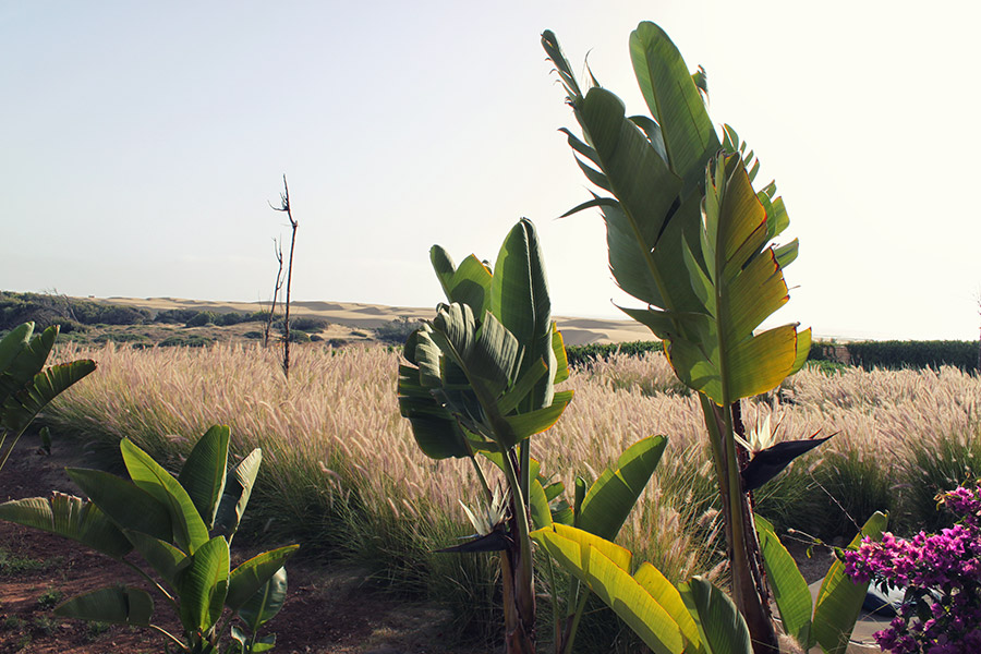 Robinson Club Agadir Reisen mit Kindern