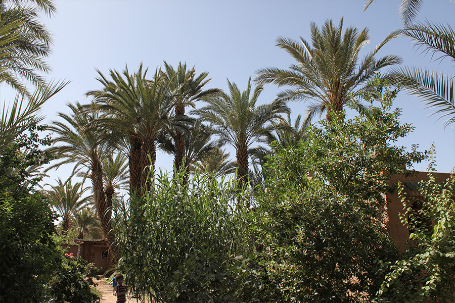 Agdz Marokko Reisen mit Kindern