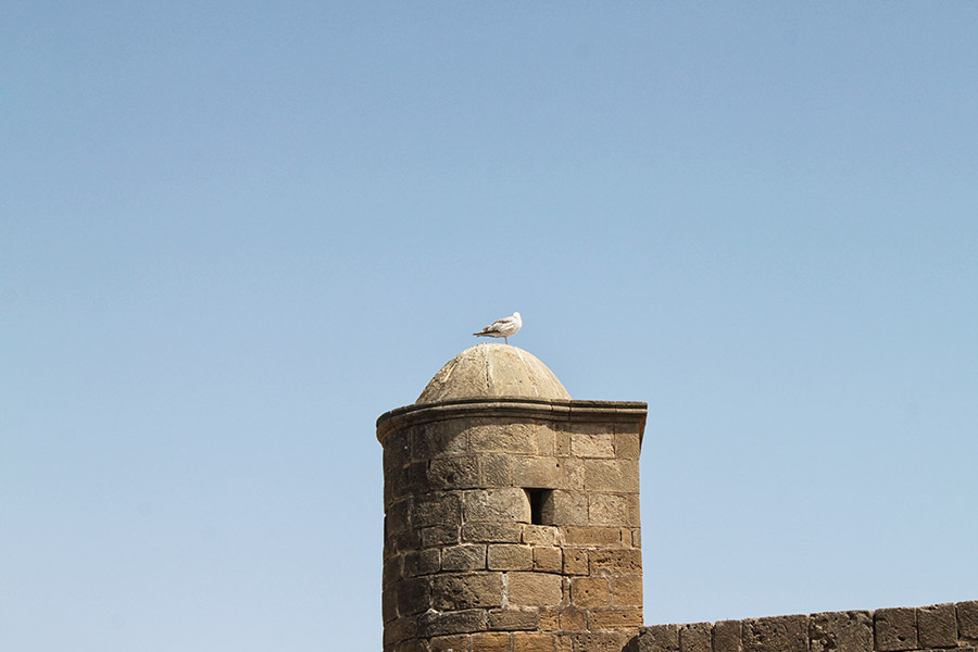 Marokko Essaouira Reisen mit Kindern