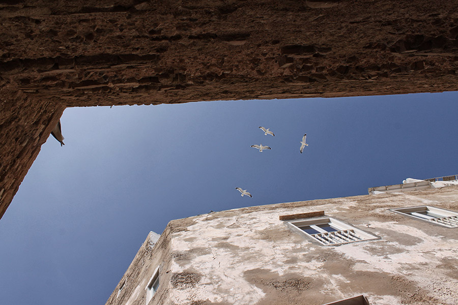 Marokko Paradis Plage Reisen mit Kindern