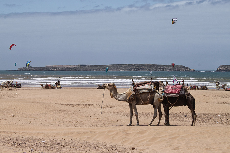 Marokko Reisen mit Kindern