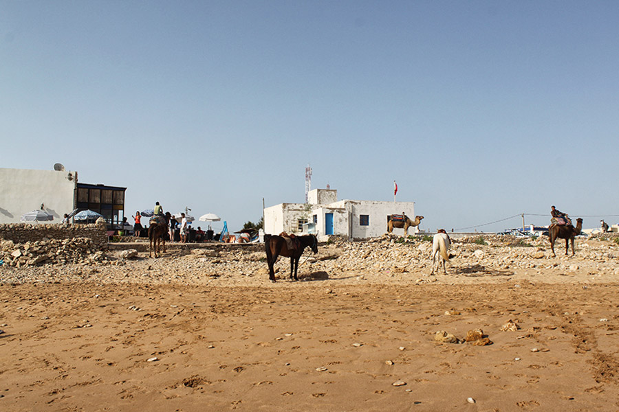 Marokko Essaouira Reisen mit Kindern