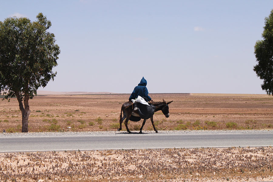 Marokko Marrakesch Reisen mit Kindern