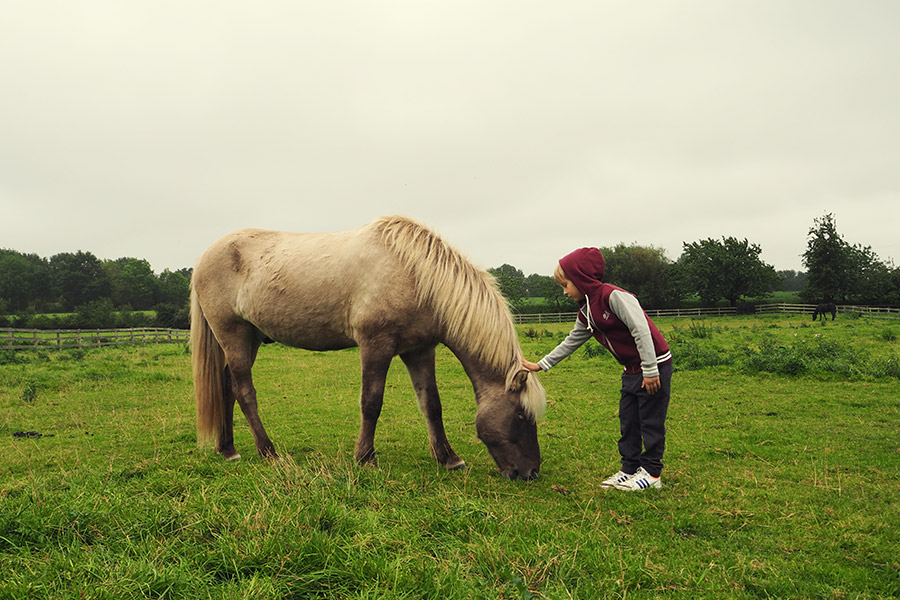 Bauernhof mit Kindern im Münsterland