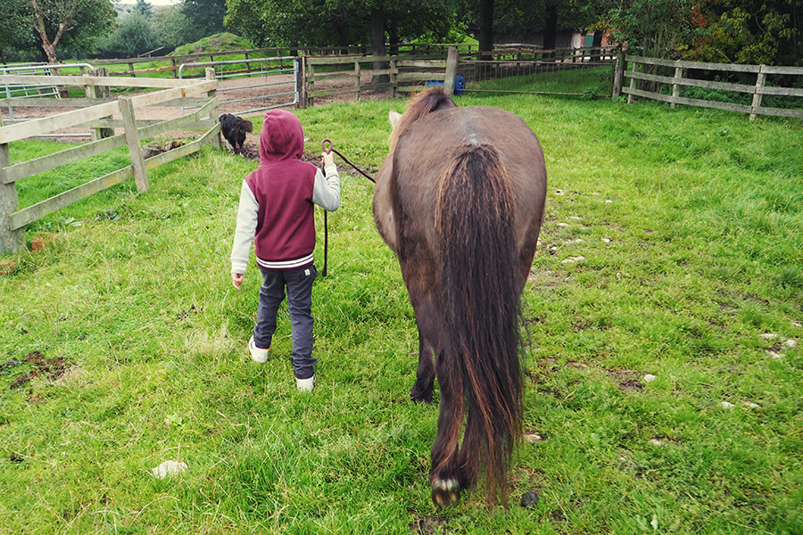 Münsterland - Travelisto - Reisen mit Kindern