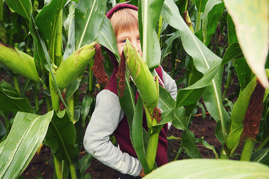 Münsterland Wochenende auf Bauernhof mit Kindern