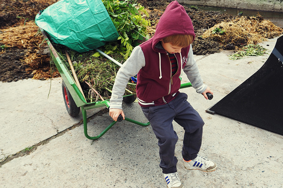 Münsterland - Travelisto - Reisen mit Kindern