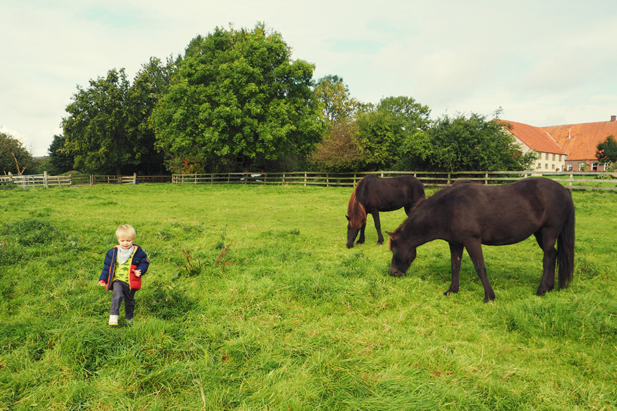 Münsterland - Travelisto - Reisen mit Kindern