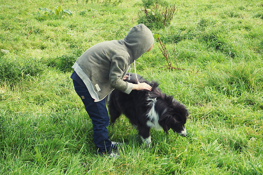 Münsterland - Travelisto - Reisen mit Kindern